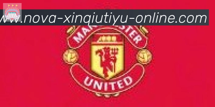 新球体育合作伙伴